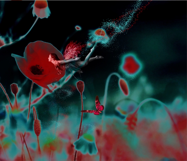 Creation of Poppy Fairy: Step 8